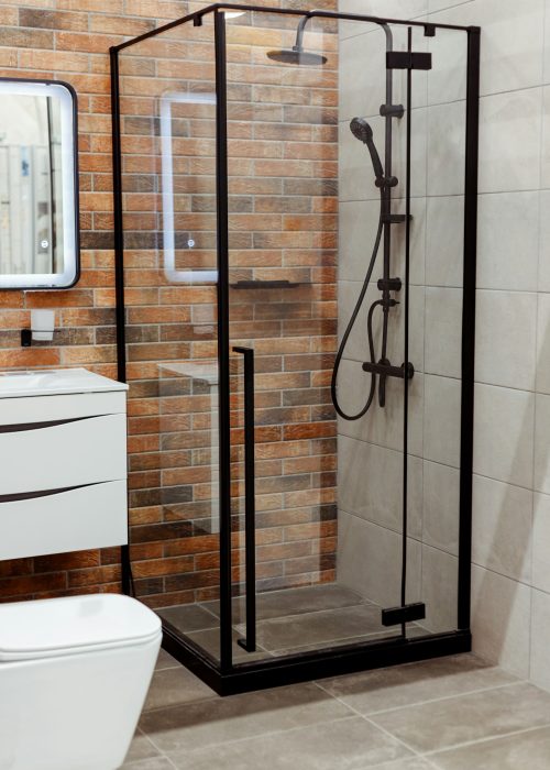 Shower room interior with glass partition, black shower and wall mounted toilet